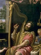 david